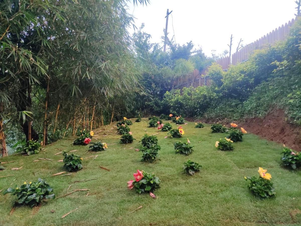 Hotel Misty Rain Estate Madikeri Exterior foto
