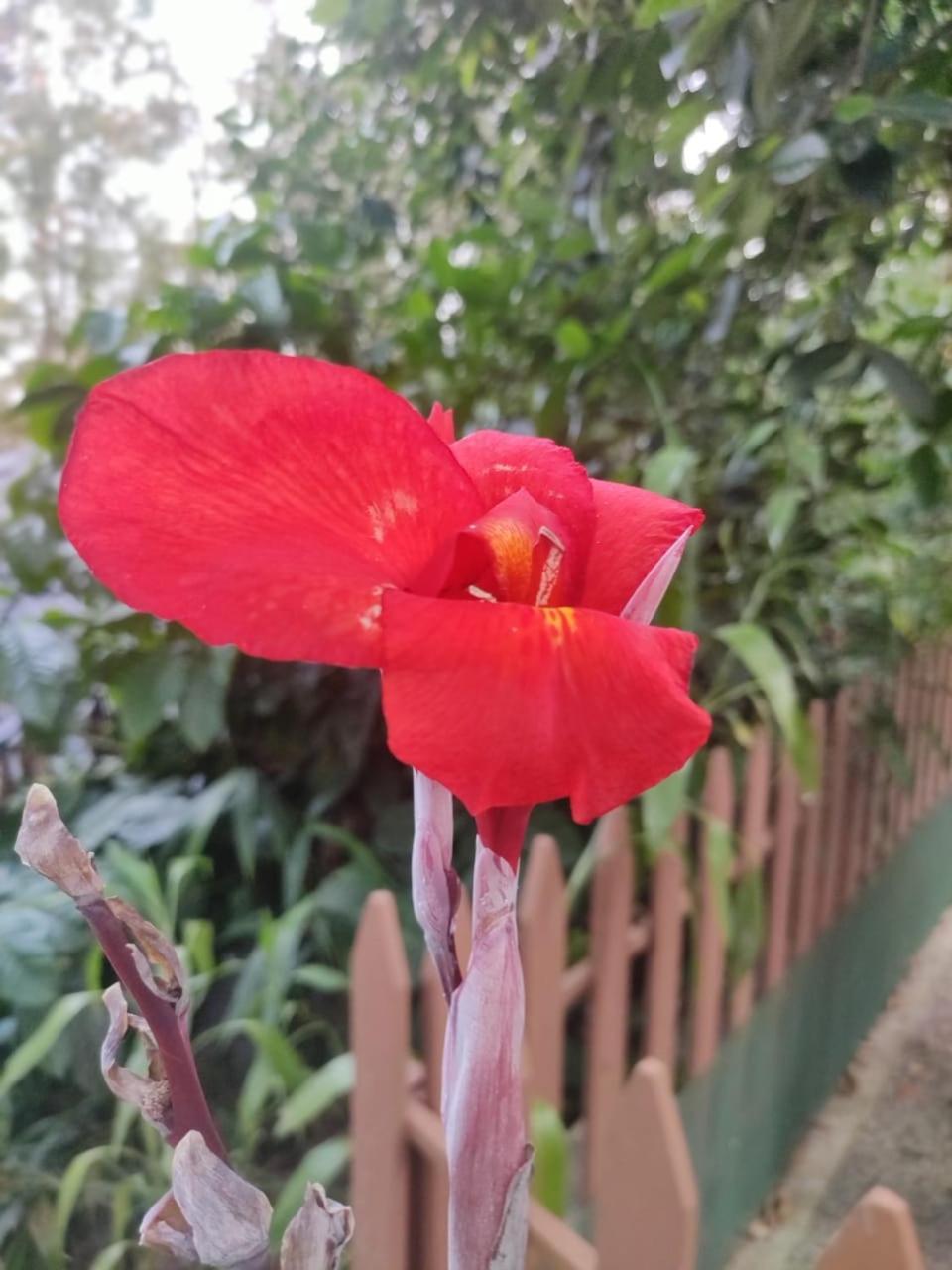 Hotel Misty Rain Estate Madikeri Exterior foto
