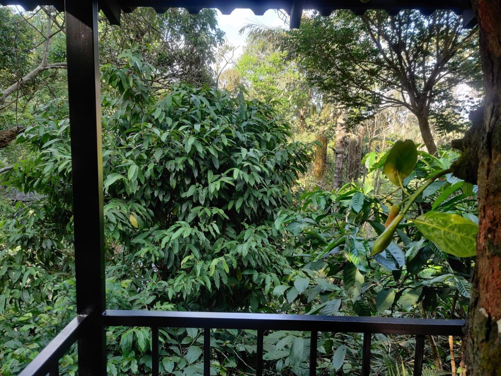 Hotel Misty Rain Estate Madikeri Exterior foto